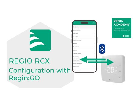RCX-TH-D, Regio RCX